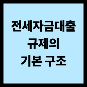 전세자금대출 규제의 기본 구조