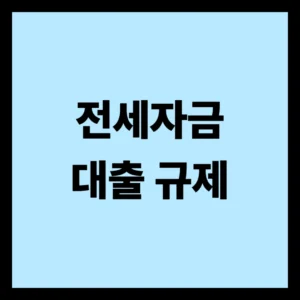전세자금대출 규제