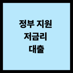 정부 지원 저금리 대출