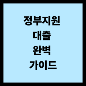 정부지원 대출